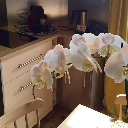 Apartmán La M.talbot, Plage Vue Mer Sainte-Adresse